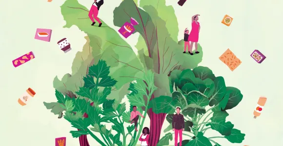 illustration 