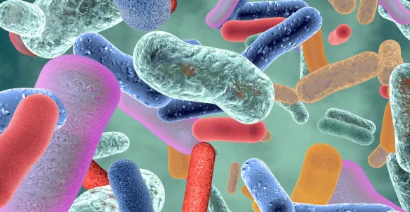 Microbiote