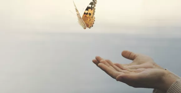 Mains tendus et papillon qui s'envole