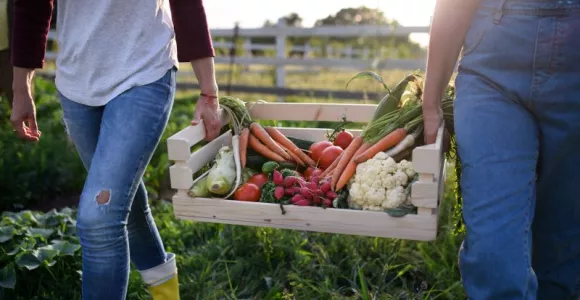 Deux personnes portant un bac de légumes