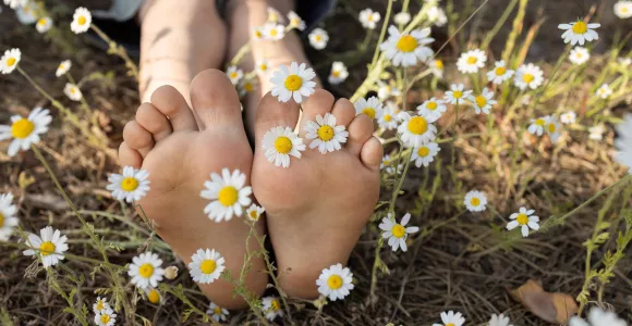 Des pieds en éventail sur un parterre de marguerites