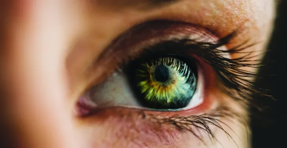 oeil
