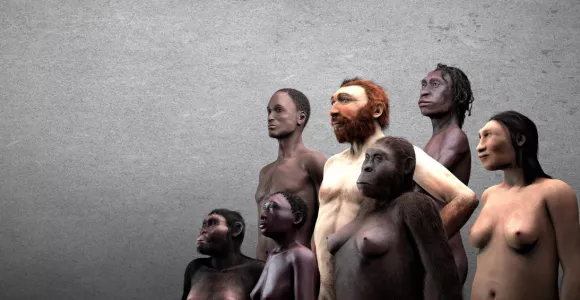 Musée des Sciences Naturelles Néandertalien 