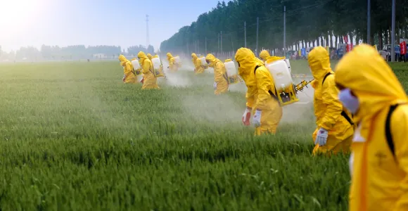 Agriculteurs épandant des pesticides dans un champs