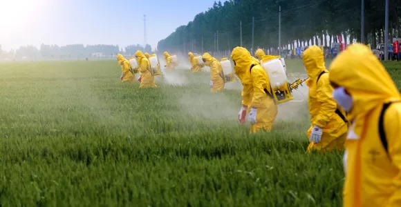 Agriculteurs épandant des pesticides dans un champs
