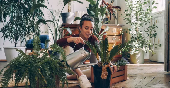 une femme arrose ses plantes d'intérieur