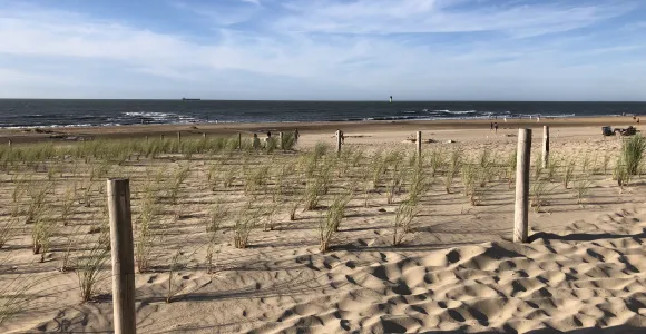 une plage avec des dunes et des oyats