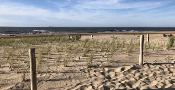 une plage avec des dunes et des oyats