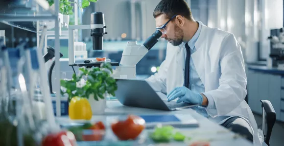 un chercheur regarde des légumes dans un microscope