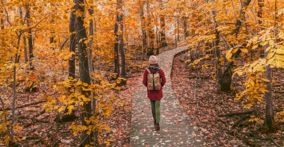 Une femme marche dans les bois durant l'automne