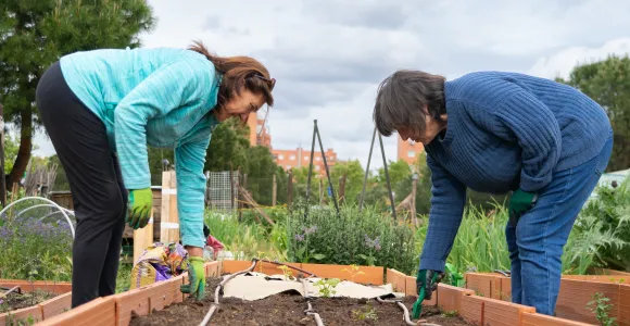 deux femmes font des plantations dans un jardin collectif