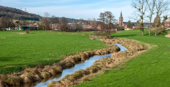 Un cour d'eau paisible en Wallonie