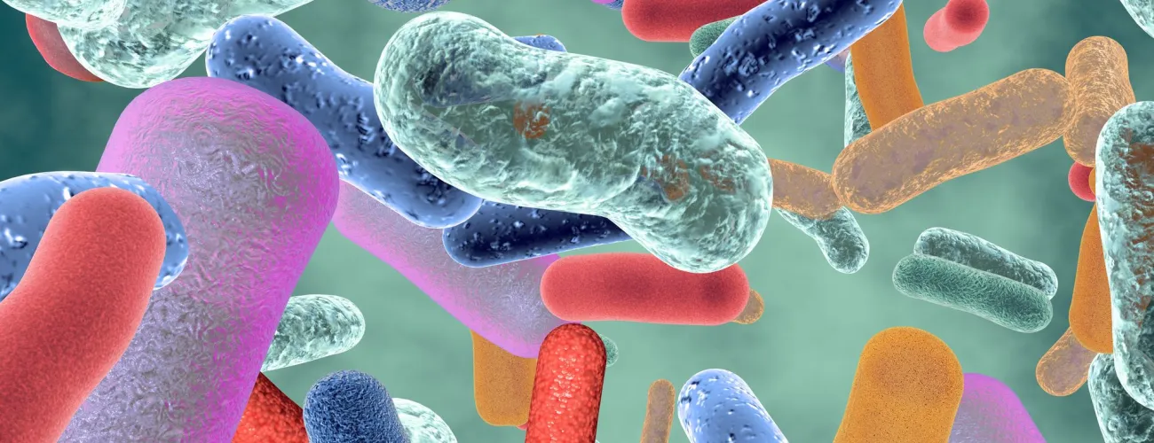 Microbiote