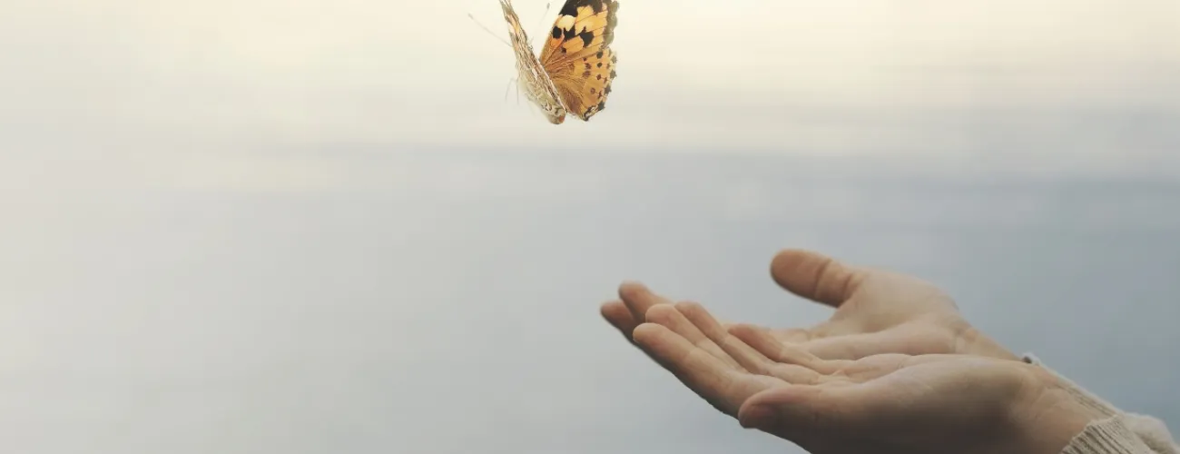 Mains tendus et papillon qui s'envole