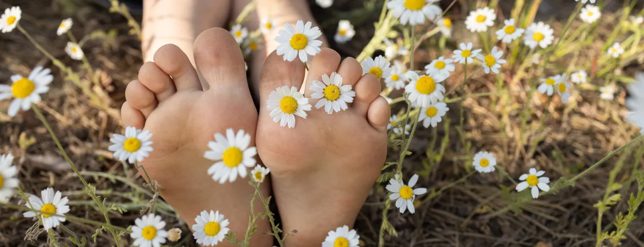 Des pieds en éventail sur un parterre de marguerites