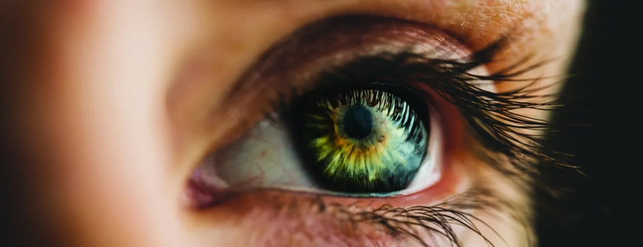 oeil