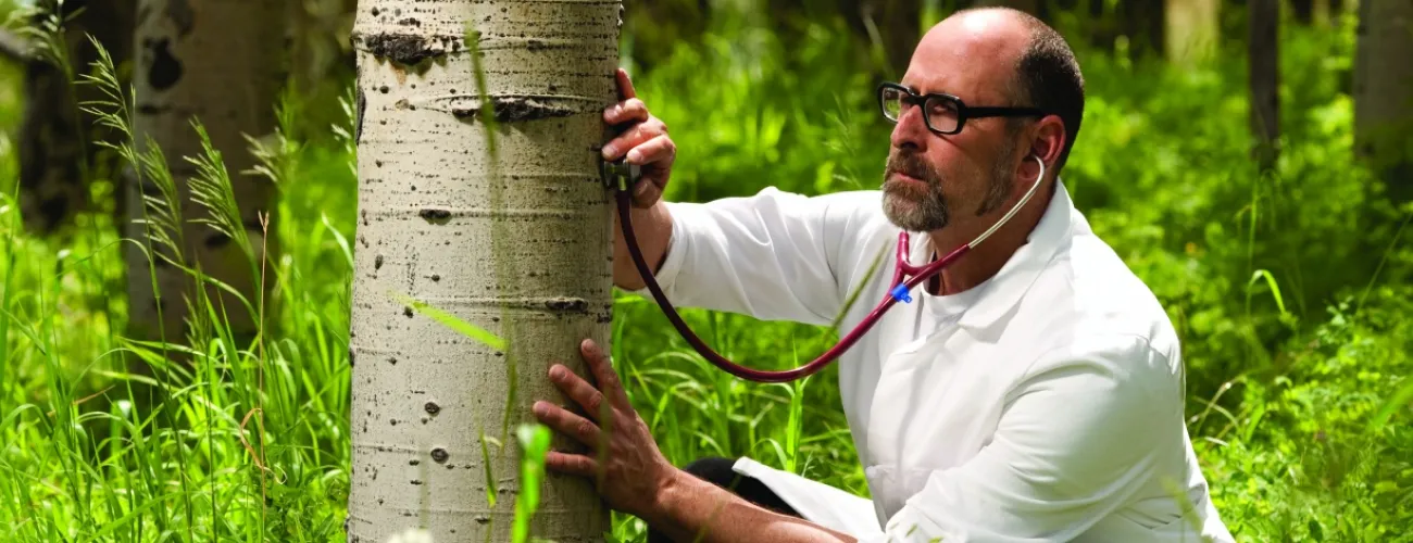 Un médecin pose son stéthoscope sur un arbre