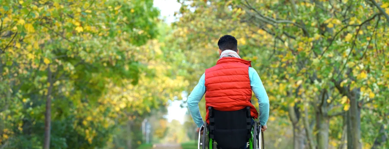 PMR qui se promène dans un bois 