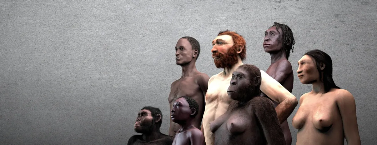 Musée des Sciences Naturelles Néandertalien 