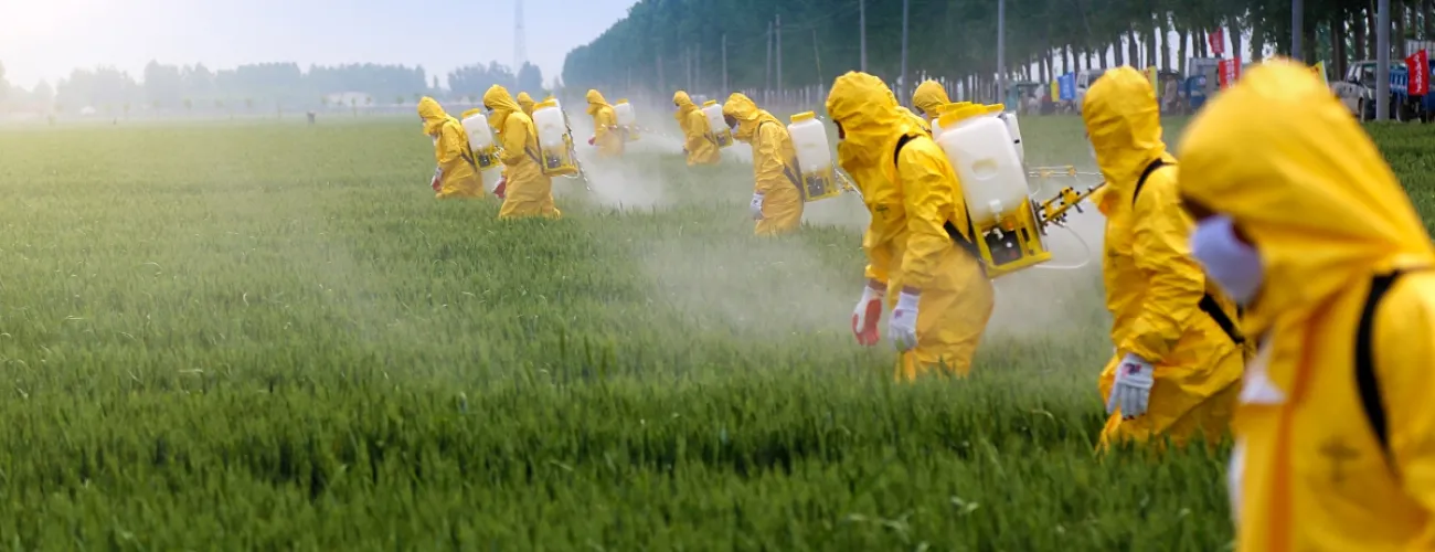 Agriculteurs épandant des pesticides dans un champs
