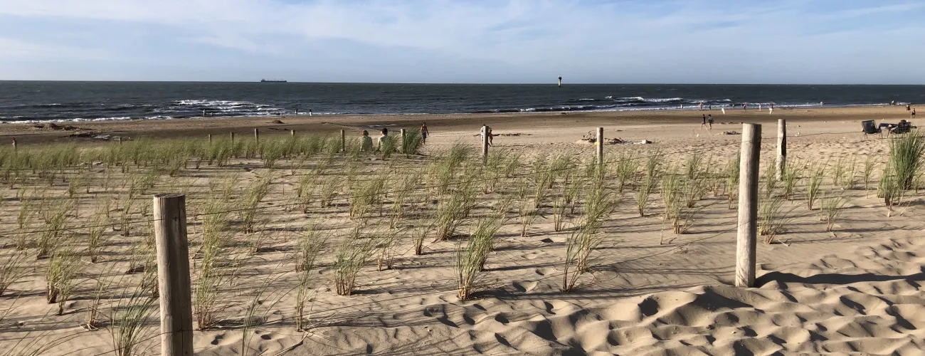 une plage avec des dunes et des oyats