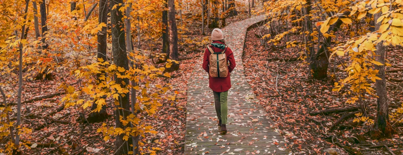 Une femme marche dans les bois durant l'automne