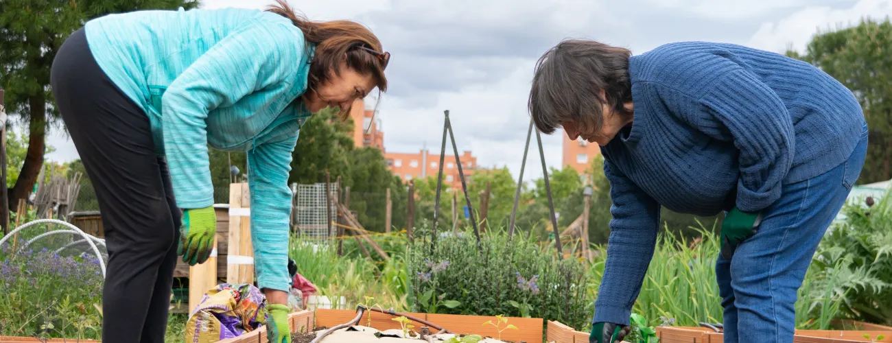deux femmes font des plantations dans un jardin collectif