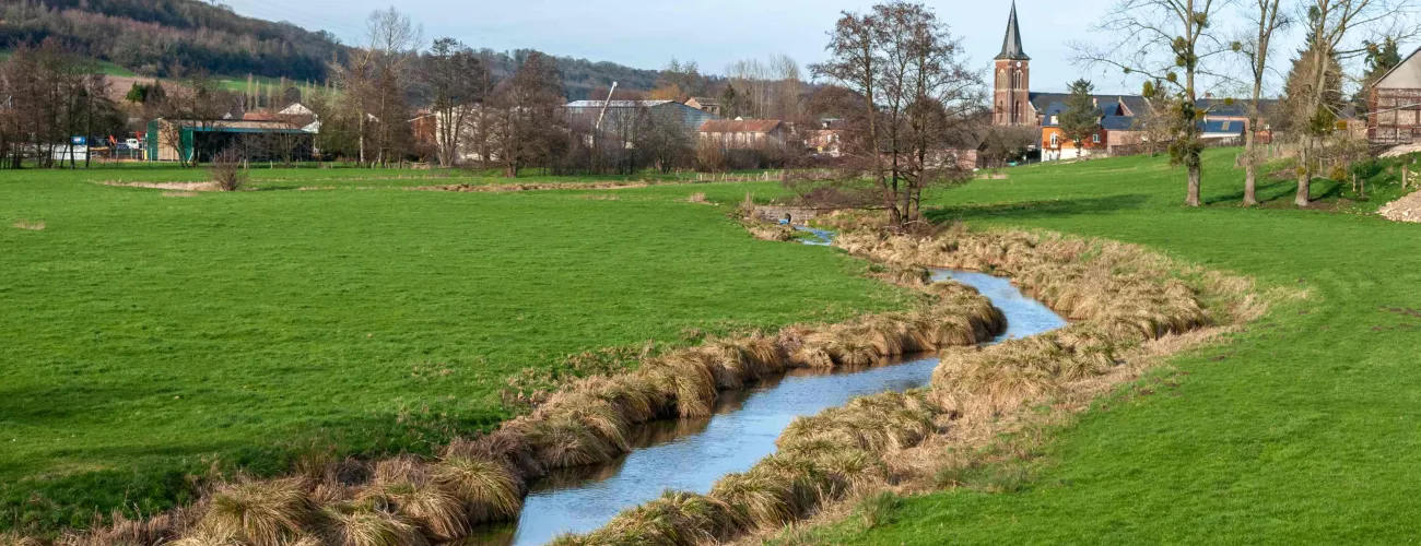 Un cour d'eau paisible en Wallonie