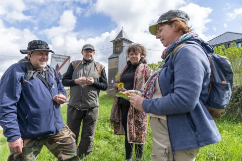 les patients de la maison médicale de Sprimont font une balade avec une guide nature