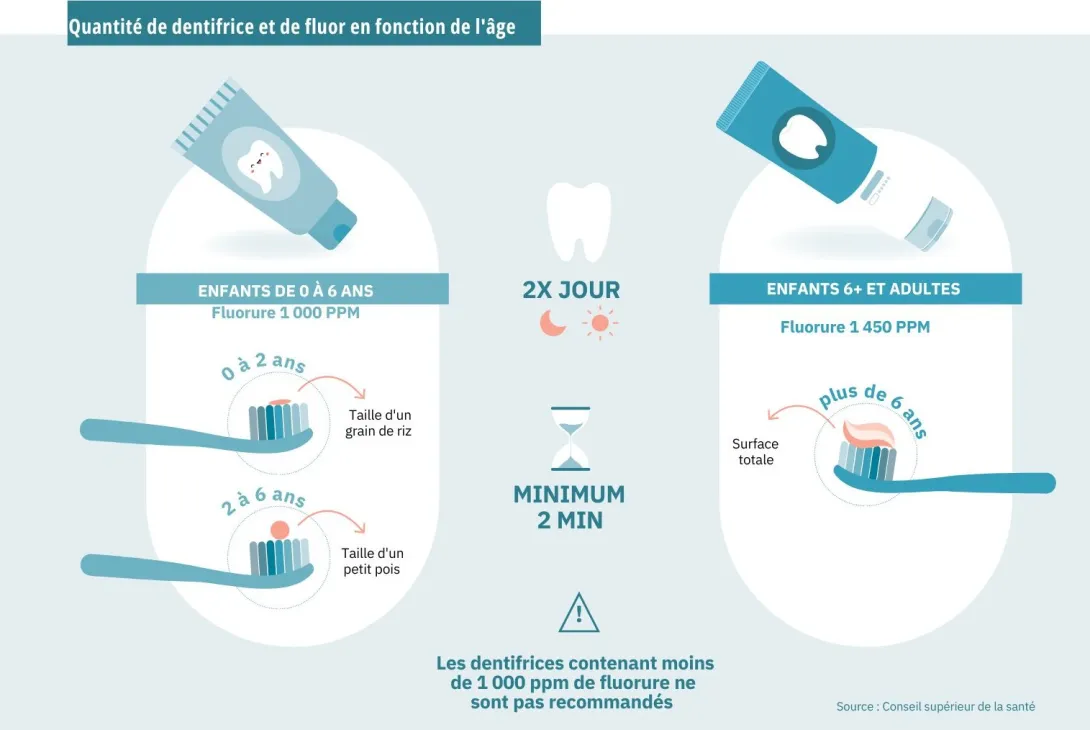 Infographie : quantité de dentifrice et de fluor en fonction de l'âge