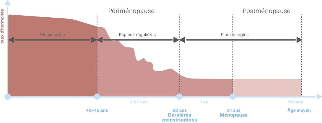 Les étapes de la ménopause